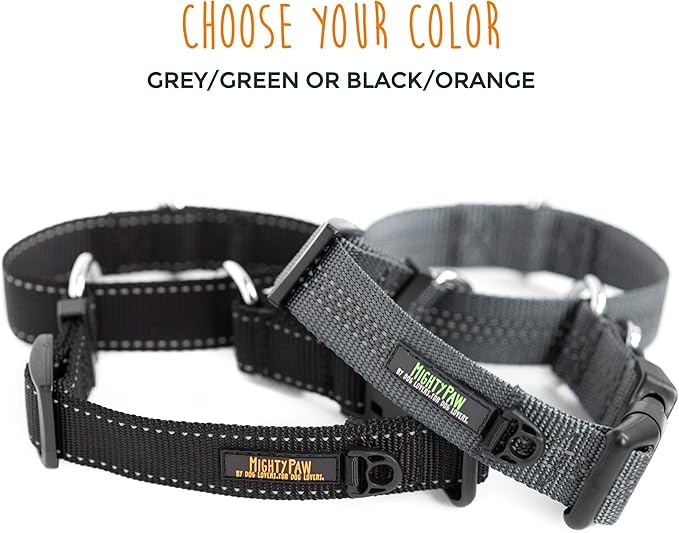 Mighty Paw Martingale Nylon Training Collar - Durable and Safe Choke Collar - Dog Collars Cinch for Controlled Training - Reflective Stitching for Dogs Safety - Grey - Large