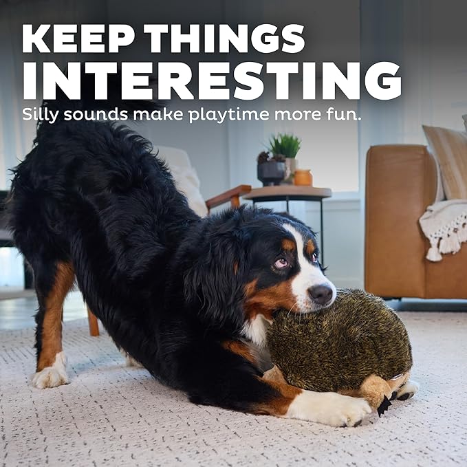 Outward Hound, Hedgehogz Plush Dog Toy, XL