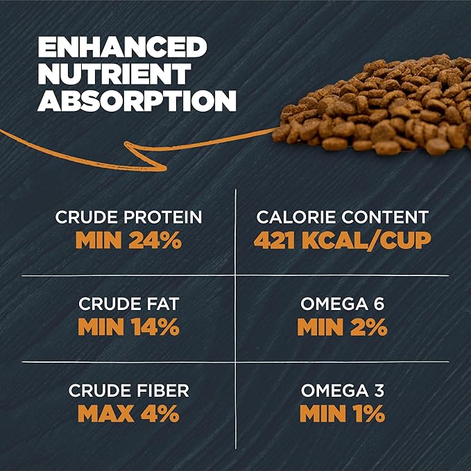 Blackwood Sensitive Skin & Stomach Dry Dog Food, Lamb Meal & Brown Rice with Ancient Grains, 10 Pound Bag with Prebiotics & Probiotics to Promote Gut Health