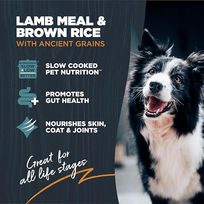 Blackwood Sensitive Skin & Stomach Dry Dog Food, Lamb Meal & Brown Rice with Ancient Grains, 24 Pound Bag with Prebiotics & Probiotics to Promote Gut Health