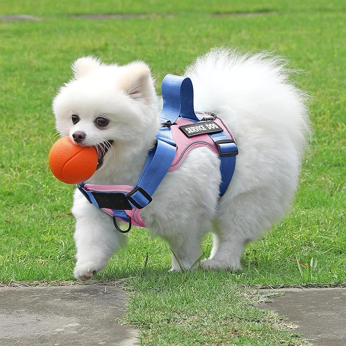 Demigreat Service Dog Harness, Reflective Dog Vest Harness with 5 PCS Patches, Adjustable Soft Oxford Pet Harness, Inner Layer Mesh, Easy to Control for Small Medium Large Dogs