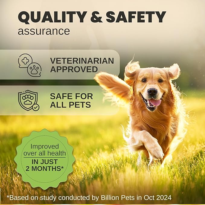 Hemp Oil for Dogs and Cats - Helps with Anxiety, Pain, Stress, Sleep, Arthritis, Seizures Relief - Hip and Joint Support - Calming Drops Treats