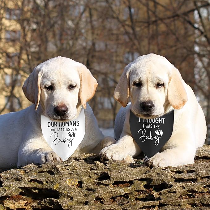 2 Pack Our Humans are Getting Us a Baby Dog Bandanas Pregnancy Announcement Bandana for Dogs Pet Accessories Lovers Reveal Ideas
