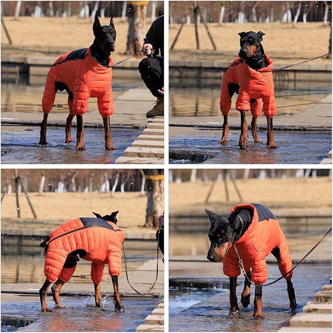 Lovelonglong Warm Jacket - 4 Legs Covered Waterproof Windproof Reflective Vest, Zippered Adjustable Outdoor Snow Jacket for Small Medium Large Dogs, Orange XL