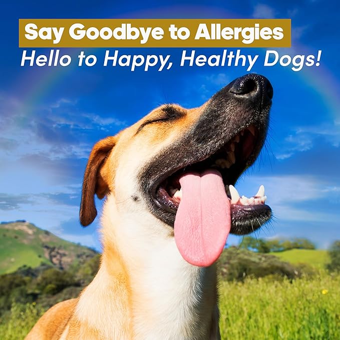Allergy Relief & Immune Support Chews for Dogs – 90 Soft Chews, Chicken Flavor – Seasonal Itch, Skin, Paw Licking, Hot Spots – Dog Allergy Supplement