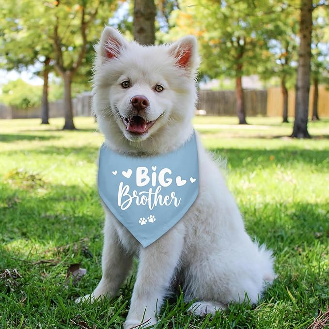 Big Brother Dogs Bandana Baby Announcement Blue Dog Bandana Pregnancy Announcement Photo Prop Pet Scarf Accessories for Pet Dog Lovers Gifts