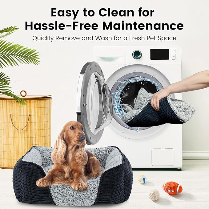 Miguel Washable Dog & Cat Bed with Removable Cushion for Medium & Small Dogs, Easy to Wash Pet Sofa Bed with Side Bolster, Anti-Slip Bottom, Black, 30 Inch