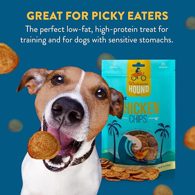 Just Chicken Chips | Single Premium Ingredient & Healthy Treats | All Natural Training Treats for Small, Medium, and Large Dog Breeds | Made in USA - 16oz
