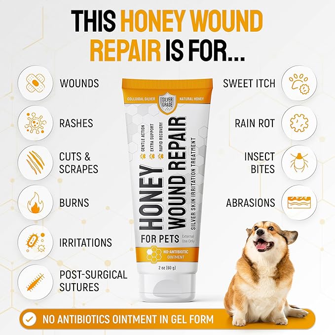 Honey Silver Wound Care for Pet no Antibiotic Wound Ointment for Dogs - Hot Spot Treatment for Dogs & Horses – Cat & Dog Wound Care for Cuts, Rashes, Irritation Honey Wound Repair Gel with Silver 2 Oz