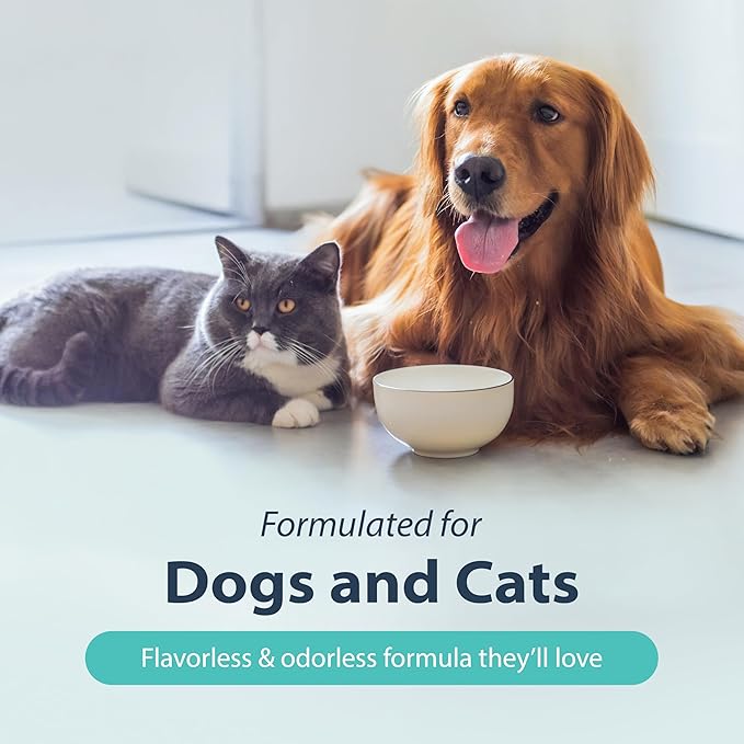 Dental Fresh Water Additive for Dogs, Original Formula, 8oz – Cat & Dog Breath Freshener and Teeth Cleaning for Dental Care for Pets – Add to Water