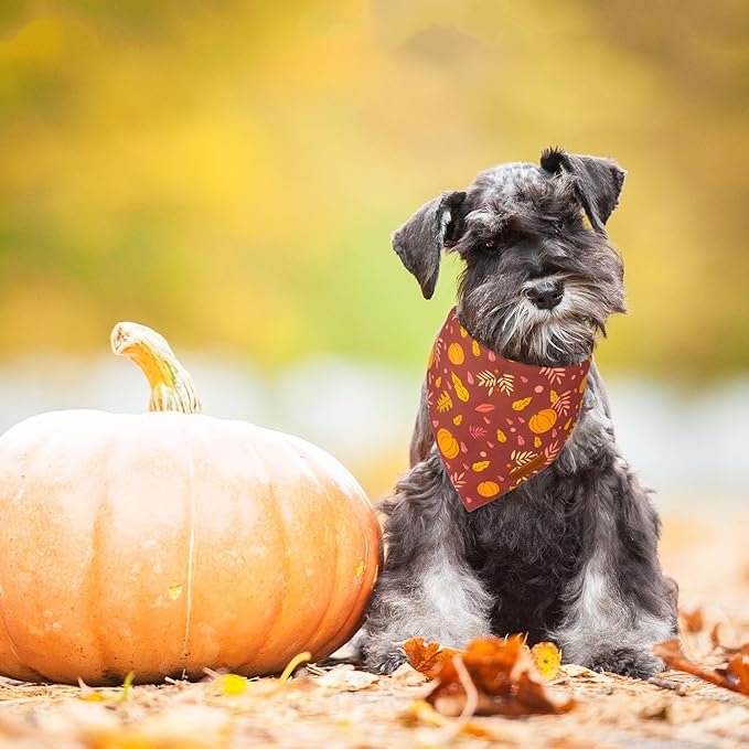 ADOGGYGO Thanksgiving Dog Bandana, Pumpkin Turkey Pet Scarf, Multi Size Offered, Fall Autumn Leaves Thanksgiving Bandanas for Small Dogs Cats Puppies (Small)