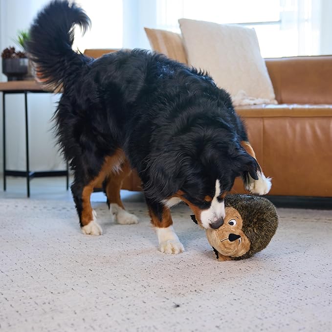 Outward Hound, Hedgehogz Plush Dog Toy, XL