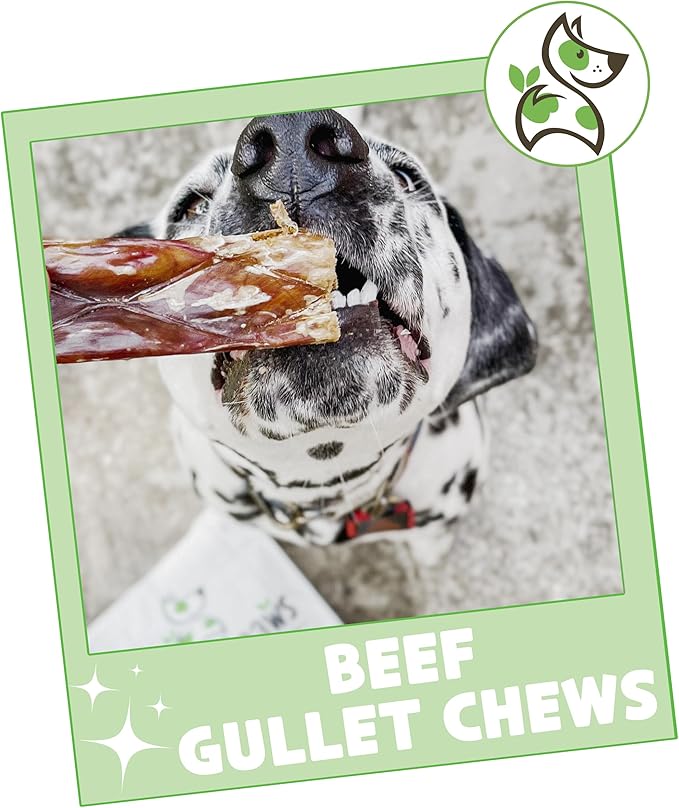 Nature Gnaws Beef Gullet Chews for Large Dogs 9-10" (20 Count) - Natural Beef Jerky Stick Dog Chew Treats - Rawhide Free
