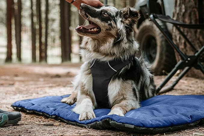 K9 Ballistics Tough Ripstop Dog Crate Pad - Durable, Machine Washable Kennel & Travel Mat for Large Dogs, 41 x 27 Fits 42" Wire Crates, Light Gray Velvet