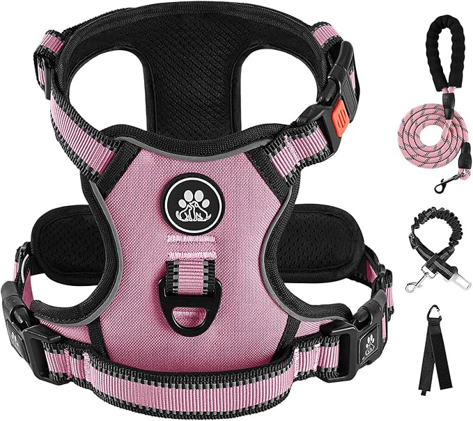 IVY&LANE No Pull Dog Harness for Small Dogs, Dog Vest Harness with Leash, Safety Belt and Storage Strap, Fully Adjustable, 360 Reflective Strip, Soft Handle (Pink, S)