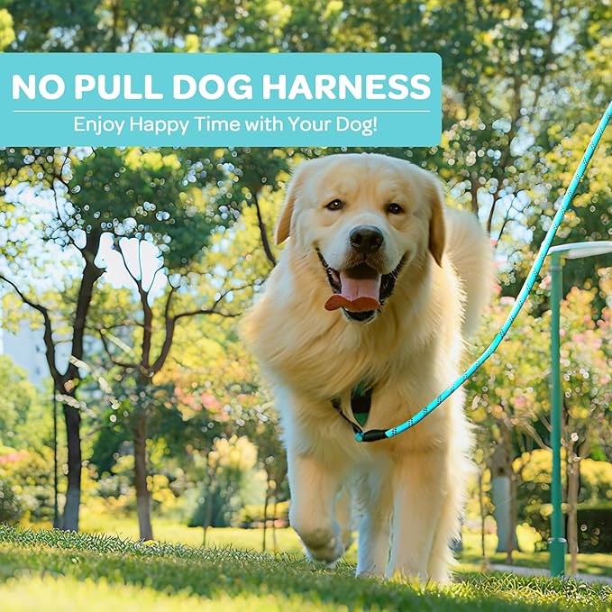 FURRYFECTION Dog Harness | No Pull Dog Harness | Reflective Oxford | Padded Handle | 4 Adjustable Straps | 2 Leash Clips | No Choke Pet Vest Harness for Small Medium Large Dogs | Turquoise | M