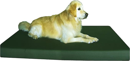 Dogbed4less Orthopedic Gel Infused Memory Foam Dog Bed for Large Pet, Waterproof Liner with Durable Canvas Cover, 55X37X4 Inch, Fit 54X37 Crate