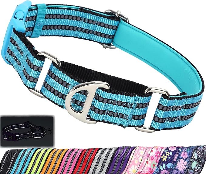 Martingale Collar for Dogs -Reflective Nylon No Slip Choke with Padded Comfort Heavy Duty Dog Collar with Quick Release Buckle for Training, Walking & Overexcited Pulling Blue M