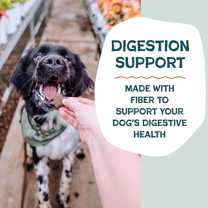 Shameless Pets Soft-Baked Dog Treats, Pumpkin Nut Partay - Natural & Healthy Dog Chews for Digestive Support with Fiber - Made in USA, Free from Grain, Corn & Soy - 1-Pack