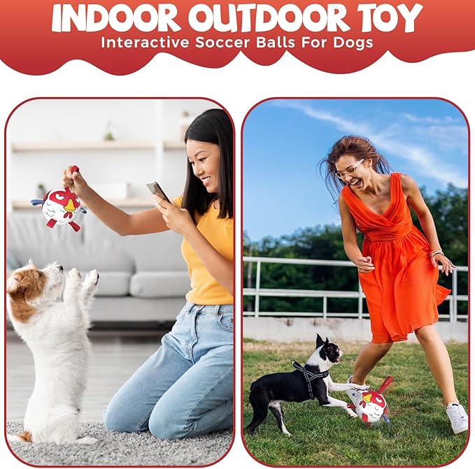 QDAN Soccer Ball Dog Toy - Extra Small Dog Balls, Beach & Pool, Chicken & Puppy Gifts, Herding (5 Inch)