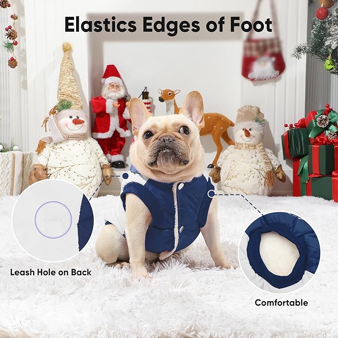 Fleece Lining Extra Warm Dog Hoodie in Winter for Small Dogs Jacket Puppy Coats with Hooded,Beige and Blue M