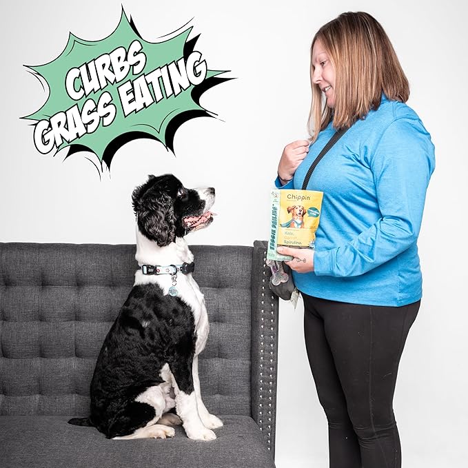 Chippin Healthy Dog Treats with Kale, Carrots, & Spirulina, Crunchy Vegan Biscuit, All-Natural, Hypoallergenic Gift for Dog Lovers, Gentle on Sensitive Stomachs, Gut Healthy Meal Topper, 2-Pack