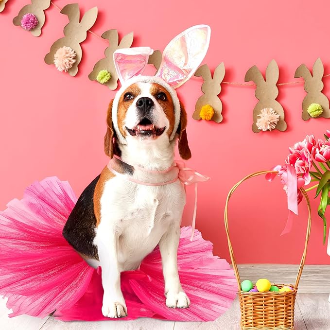 2 Pcs Dog Crown Headband Dog Tutu Dress Set Crystal Rhinestone Tiara Crown Tutu Skirt Pet Dress Costume for Puppy Birthday Party Wedding Photo Prop Costume(Large,Rose Red)