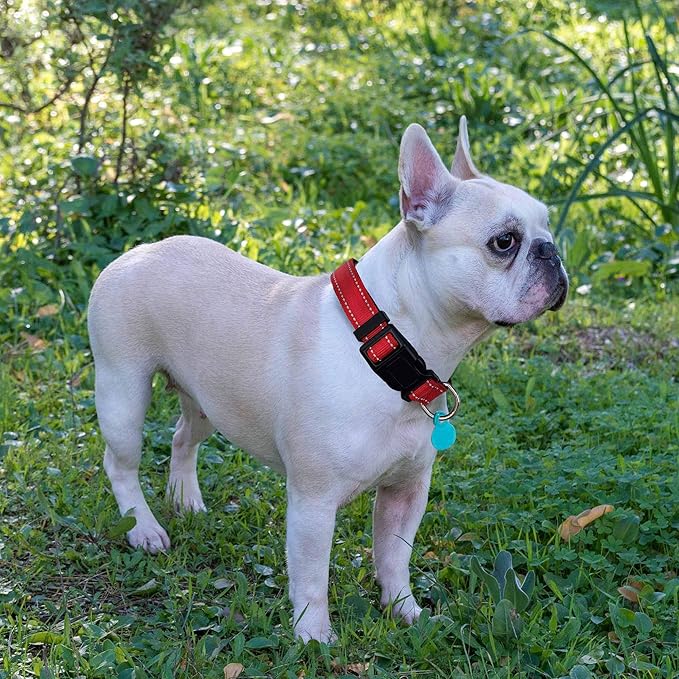 Reflective Dog Collar Padded with Soft Neoprene Breathable Adjustable Nylon Dog Collars for Small Medium Large Dogs (Large (Pack of 1), Red Collar+Leash)