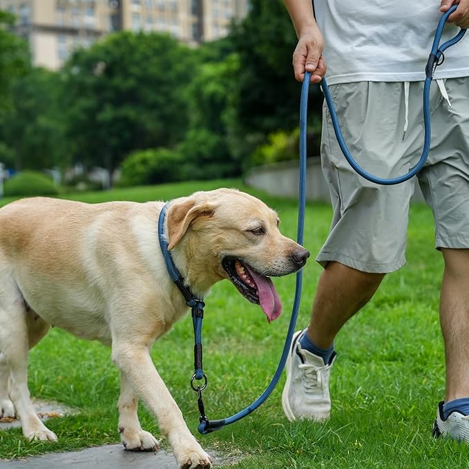 Rope Dog Leash, 4 ft Heavy Duty Dog Leash with Aviation Aluminum Auto Locking Carabiner, Strong Nylon Pet Lead for Small, Medium, Large Dogs (Navy Blue, 4FT)