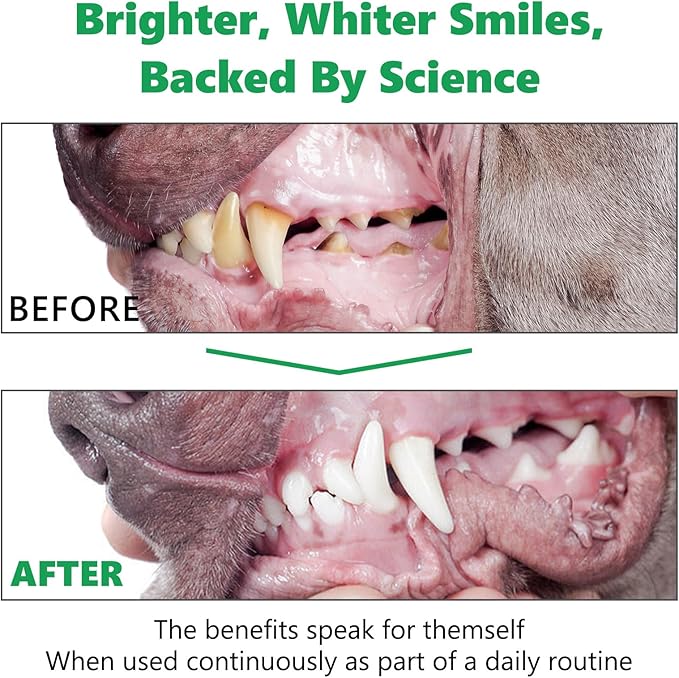 ALIVO Dental Powder for Dogs Teeth Cleaning, Dog Breath Freshener Powder with Probiotics Improve Bad Breath, Plaque & Tartar, Supports Healthy Mouth - Pets Dental Care Supplement - 30g