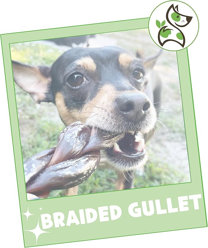 Nature Gnaws Braided Beef Chews for Dogs 5-6" (3 Count) - Long Lasting for Small and Medium Dogs - Natural Beef Gullet Jerky Dog Chew Treats