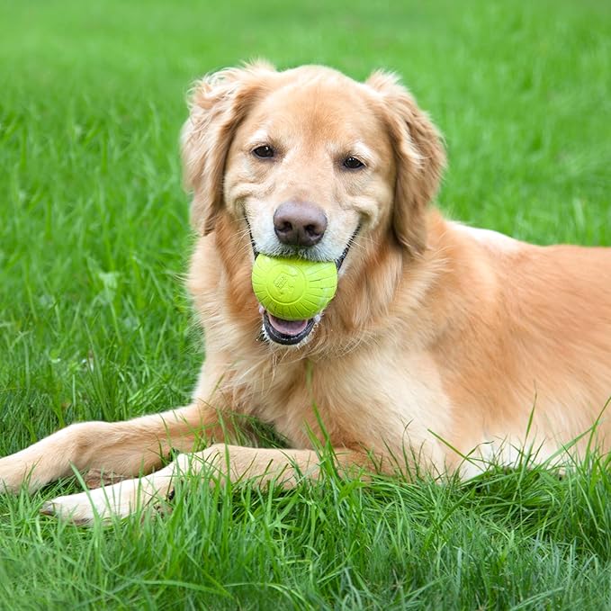 Chew King by Mammoth Supreme Dog Toy Collection, 3" 8 Pack