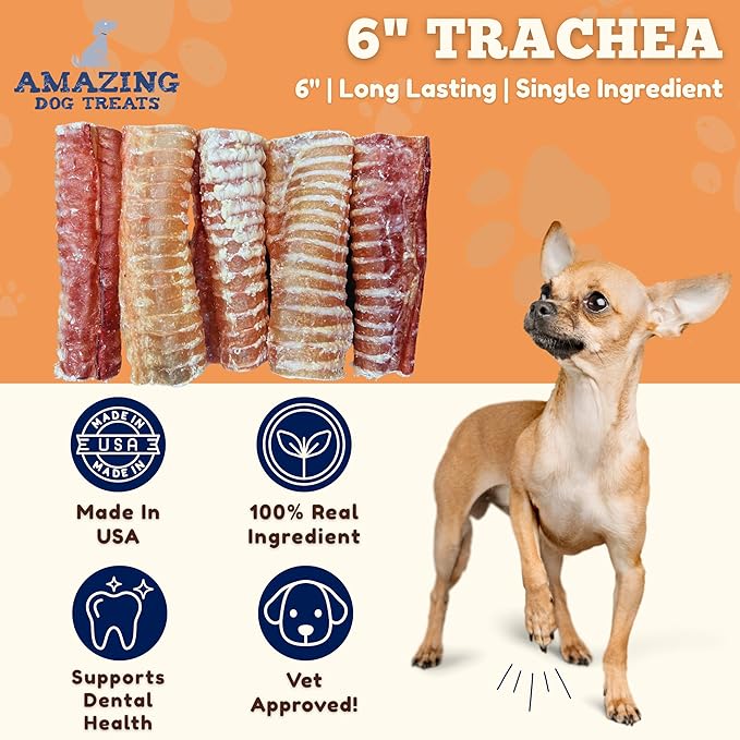 Amazing Dog Treats - 6 Inch Beef Trachea Dog Chews (20 pcs - 32 oz) - Trachea Dog Treats - NO Hide - Digestible and Safe Chews for Dogs - Glucosamine and Chondroitin for Joint Health for Dogs