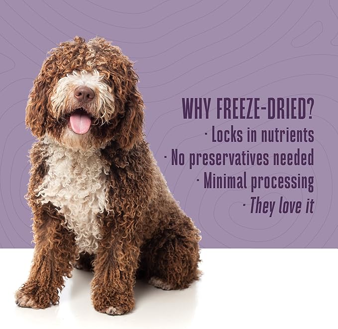 Whole Life Dog Just One Chicken Freeze Dried Dog Treats - Human Grade High Protein Food, Healthy Training Snacks, Freeze Dried Food Toppers, USA Made Natural Treats - 4 oz (Value Pack of 1)