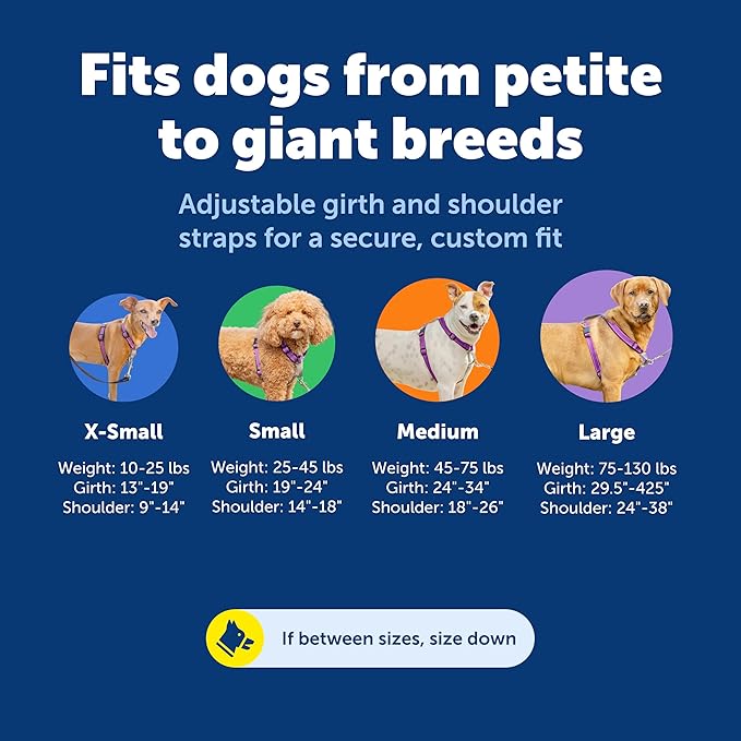 PetSafe 3 in 1 Dog Harness - No Pull Solution for Dogs - Reflective Dog Harness - Front D-Ring Clip Helps Stop Pulling - Comfortable Padded Straps - Top Handle Enhances Control - Plum - Small