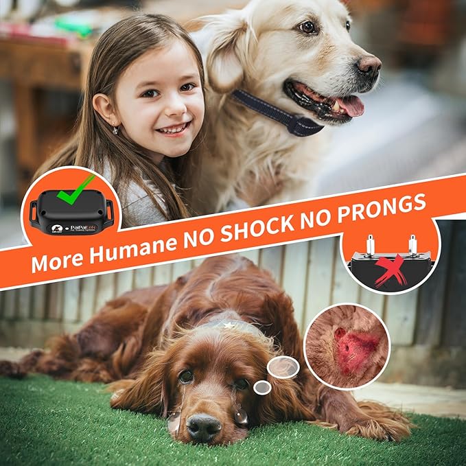 PaiPaitek No Shock Dog Training Collar with Remote 3300ft Range, Strong Vibrating Dog Collar Beep and Vibrate Only, Waterproof & Rechargeable Vibration Collar for Small Medium Large Dogs - No Prongs