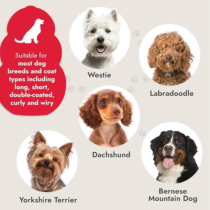 KONG 4-in-1 Interchangeable Dog Grooming Tool – Rake, Slicker, Comb & Pin Brush Heads, Versatile All-in-One Design, Non-Slip Handle, for All Coat Types, Red/Gray