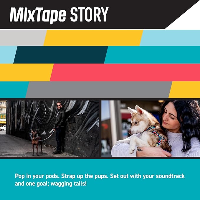 Wolfgang Heavy Duty Martingale Dog Collar with Quick Release Nylon Buckle for Walking & Training, Mixtape Print, Small