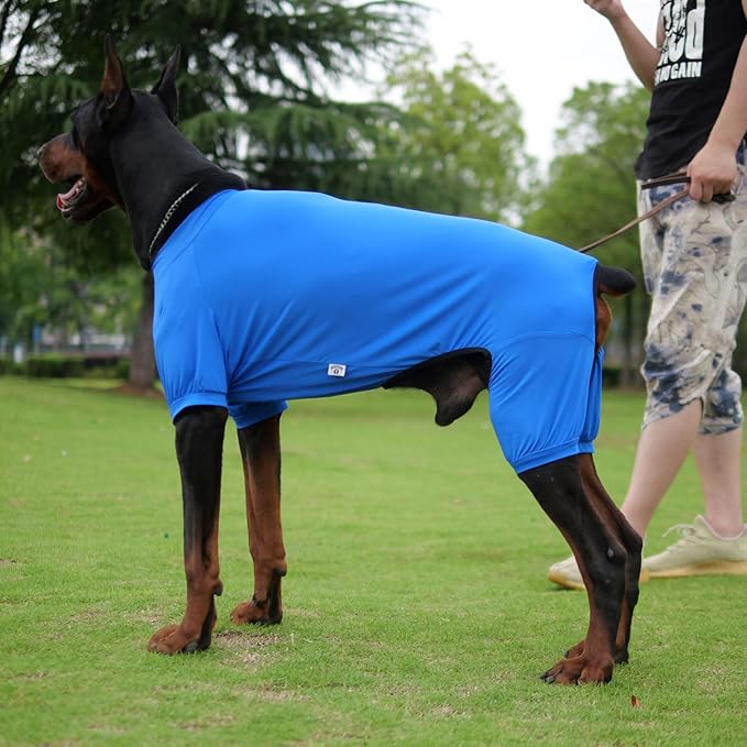 LoveLongLong Dog Jumpsuit with UV Protection and Quick-Dry Fabric for Spring Summer Pet Pajamas Royel Blue XL