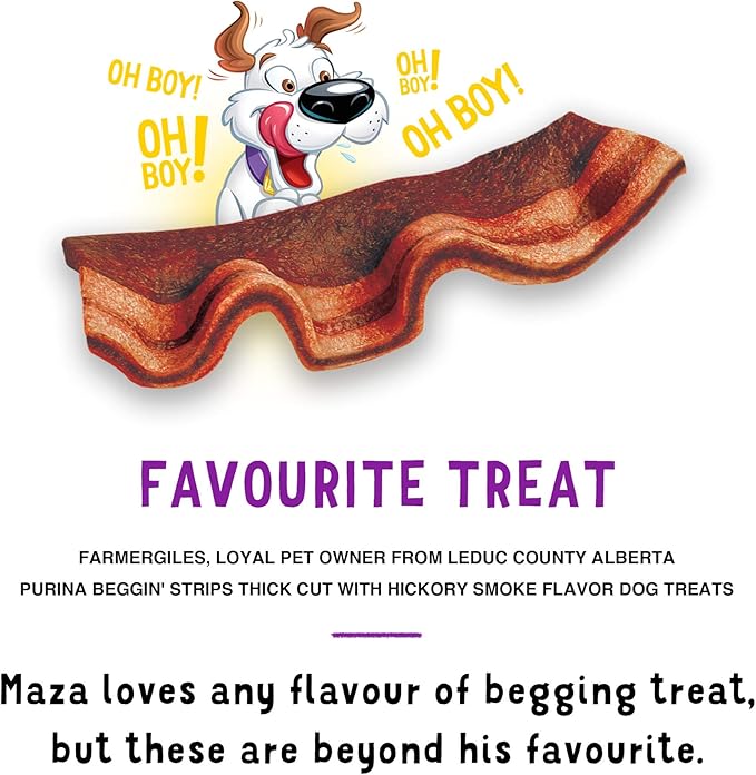 Purina Beggin' Strips Real Meat Dog Treats, Thick Cut Hickory Smoke Flavor - (Pack of 2) 26 oz. Pouches