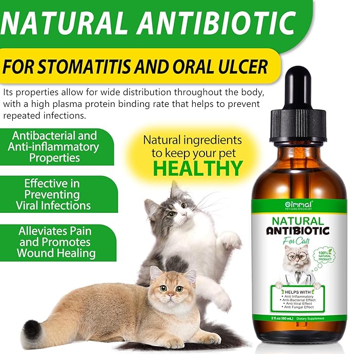 Natural Antibiotics for Cats, Antibiotic Liquid Drops Helps Immune System, Cat Antibiotic Supports Allergy Relief, Itching & UTI, Pet Health Supplies Multivitamins, Chicken Flavour - 4 Fl Oz / 2 Pack