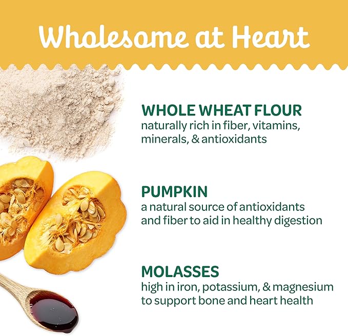 Wholesome Pride Nature’s Biscuits Pumpkin Dog Treats - Crunchy, Natural, Limited‑Ingredient, Grain‑Inclusive Recipe with Fiber‑Rich Pumpkin - Mini Bone‑Shaped Treats - 16oz Bag