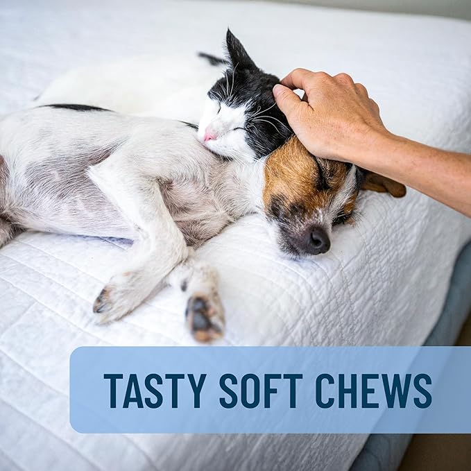 Nutramax Solliquin Calming Behavioral Health Supplement for Small to Medium Dogs and Cats - With L-Theanine, Magnolia / Phellodendron, and Whey Protein Concentrate, 75 Soft Chews