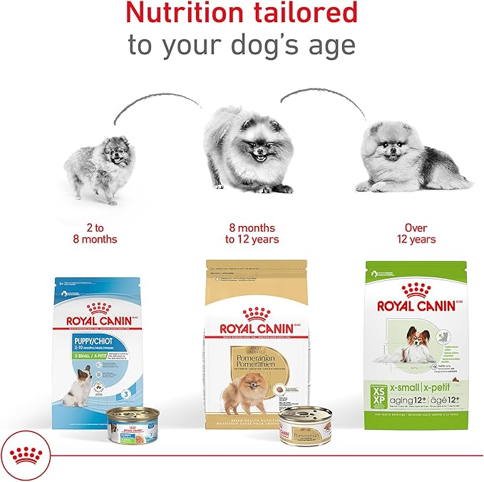 Royal Canin Breed Health Nutrition Pomeranian Adult Loaf in Sauce Dog Food, 3 oz (Pack of 24)