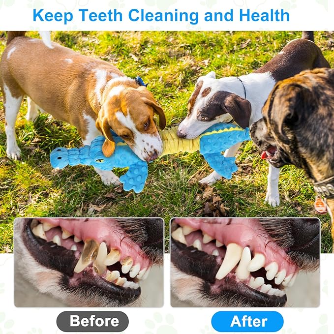 Dog Toys Cute Crocodile Squeaky Plush Pet Toy for Small to Large Breeds Interactive Chew Toy with Whistle & Crinkle Paper Tough Pet Toys for Aggressive Chewers and Puppies & Dog Lovers