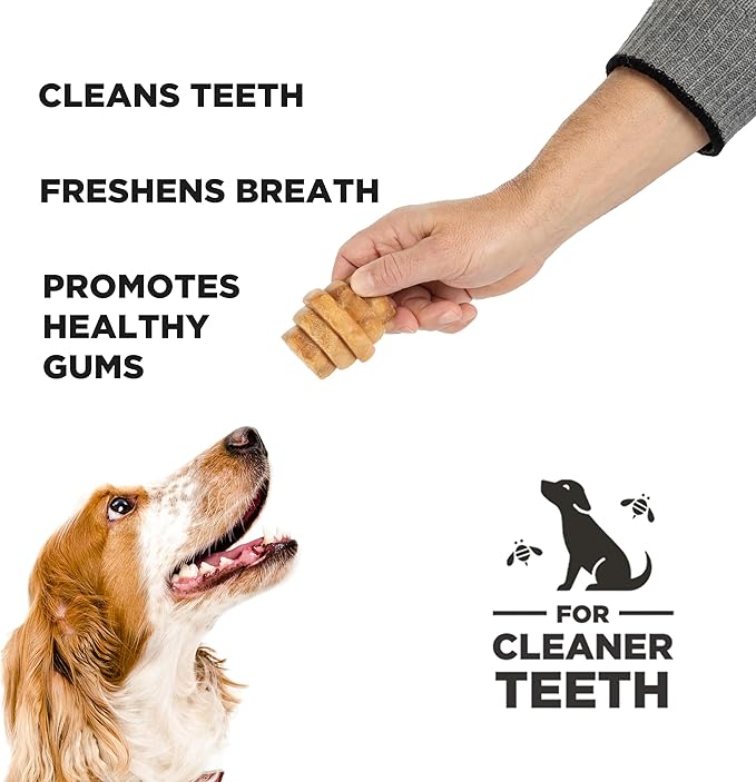 Hive Treats for Dogs — Healthy, Non-GMO Project Verified, Natural Peanut Butter Flavored, Natural, Vegetarian Chews, Made in The USA (Hive Chews, Large Breeds)