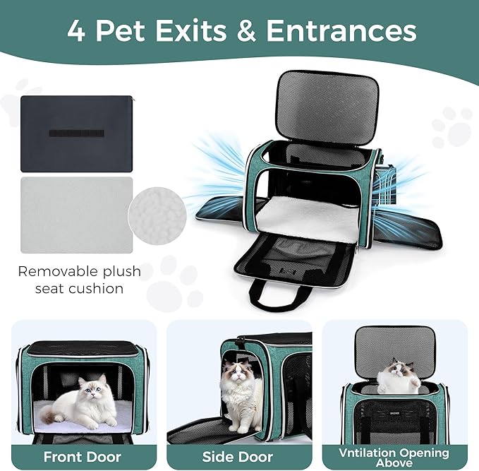 BAGLHER Pet Travel Carrier, Cat Carriers Dog Carrier for Small Medium Cats Dogs Puppies, Airline Approved Small Dog Carrier Soft Sided, Collapsible Puppy Carrier. Green