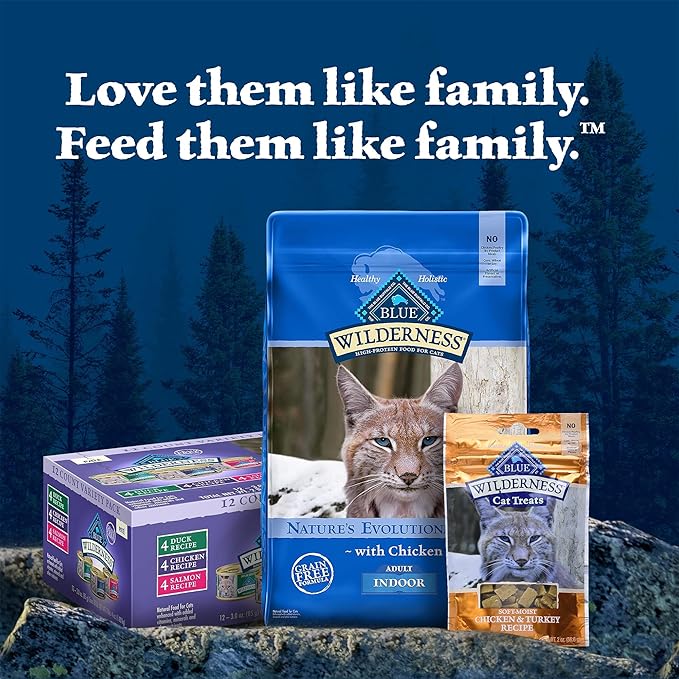 Blue Buffalo Wilderness Wild Delights Meaty Morsels Wet Cat Food, High-Protein & Grain-Free, Made with Natural Ingredients, Chicken & Turkey Recipe in Tasty Gravy, 3-oz. Cans (24 Count)