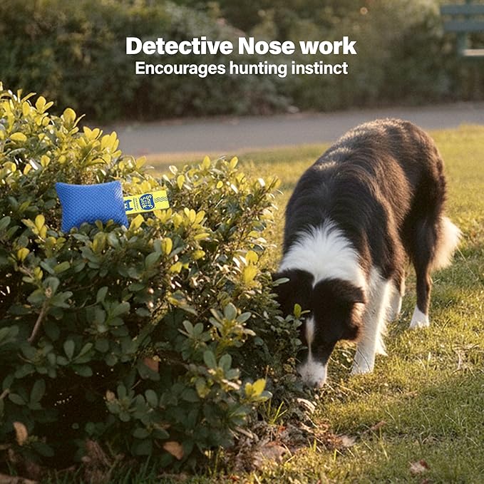 Race&Herd Original Dog Scent Training Kit, Scent Work Training Kit for Dogs - Nosework for Dog Mental Stimulation Agility Training Equipment for Dogs, Brain Games Smell Training Kit for Loss of Smell