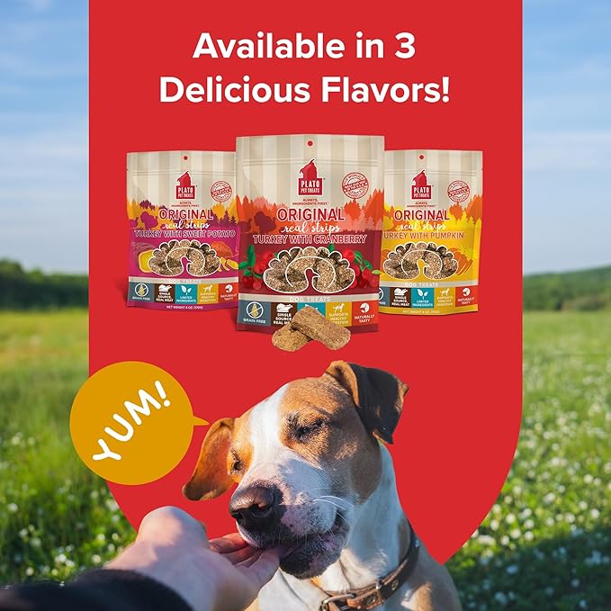 PLATO Turkey Real Strips Natural Dog Treats - Real Meat - Air Dried - Made in the USA - Turkey & Cranberry, 3 ounces